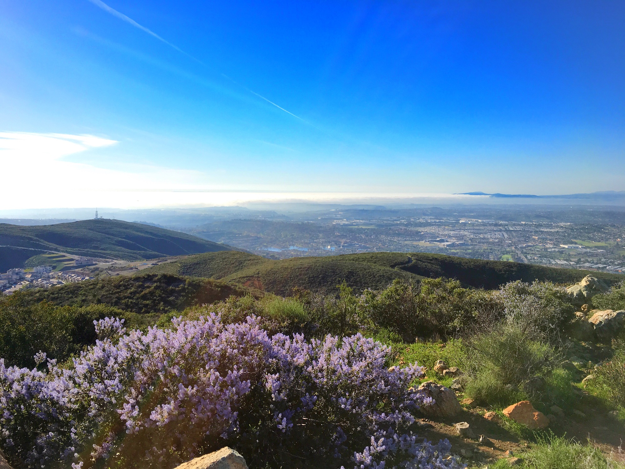 Spring has sprung - Southern California