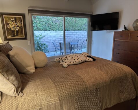 1333 Primavera Dr. W Palm Springs, CA